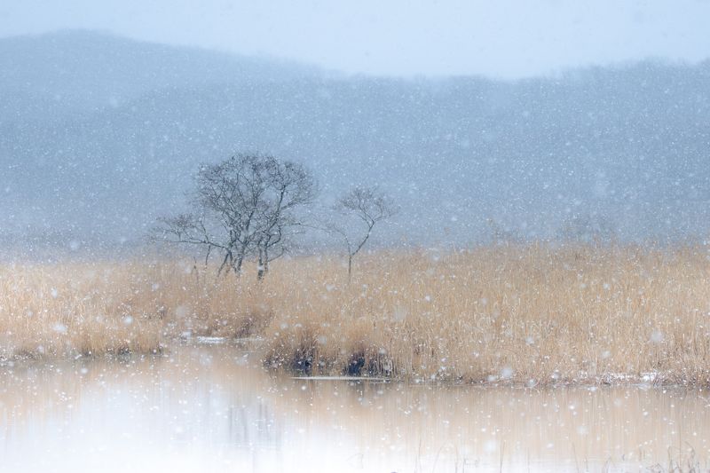 Memory фото превью