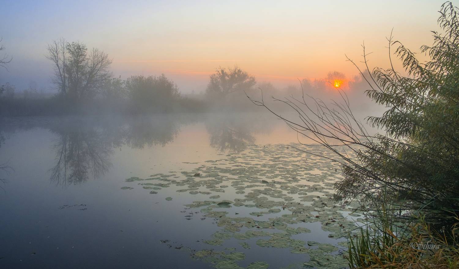 осень озеро рассвет туман пейзаж природа, Александр Строков