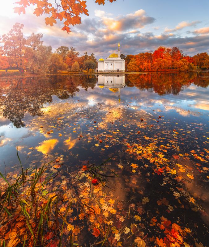 Царское село. Осень... фото превью