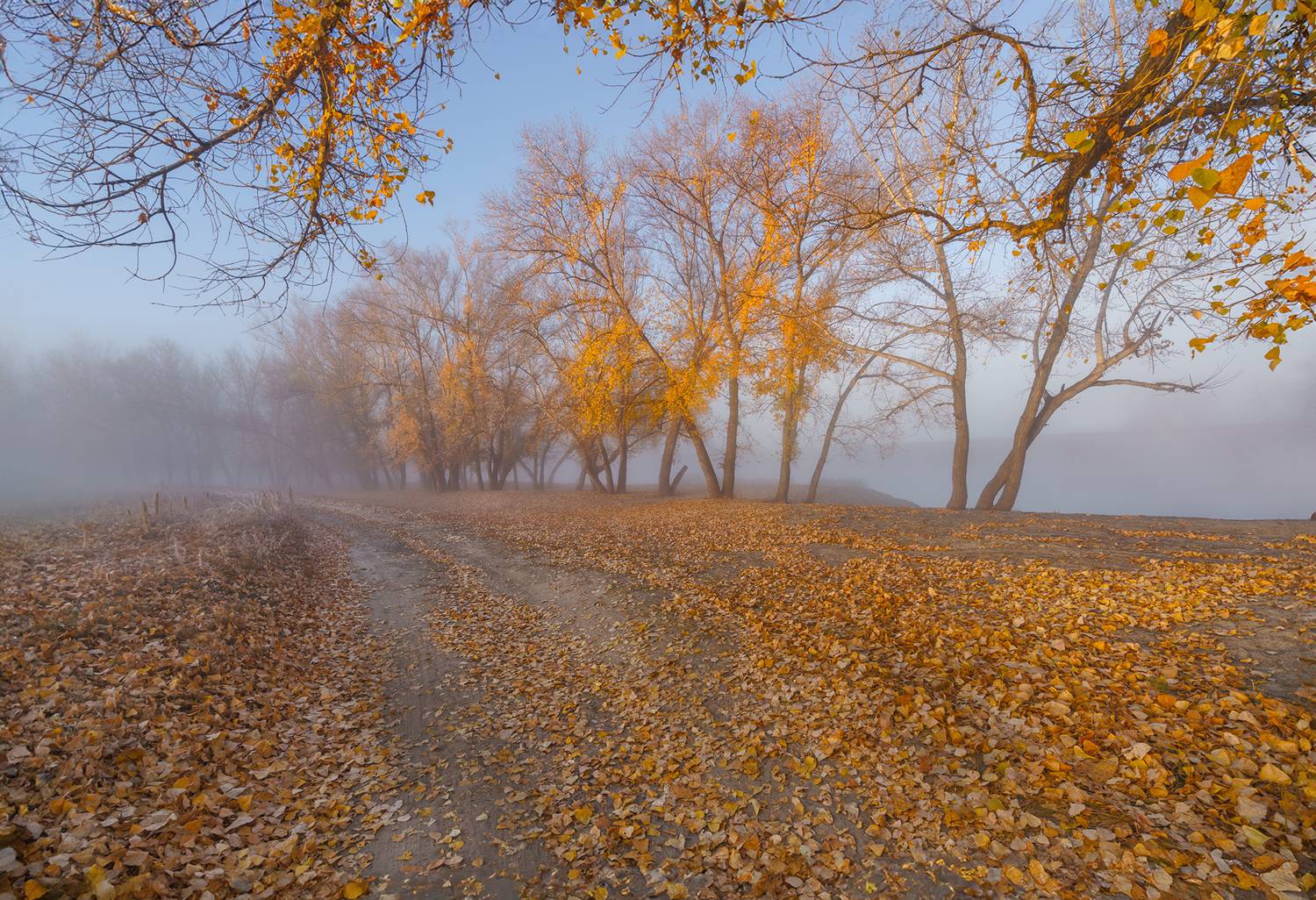 Пейзаж, осень, туман,утро, туман,Урал, Тобол, река, Лариса Дука