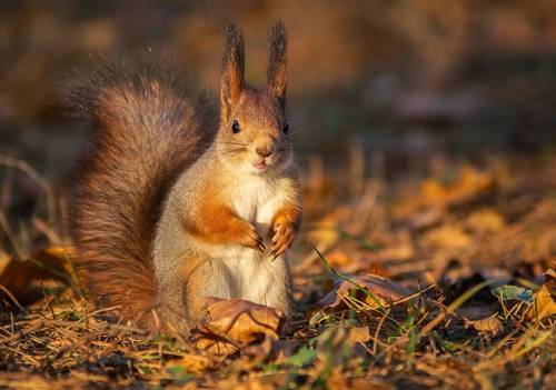 На закате дня