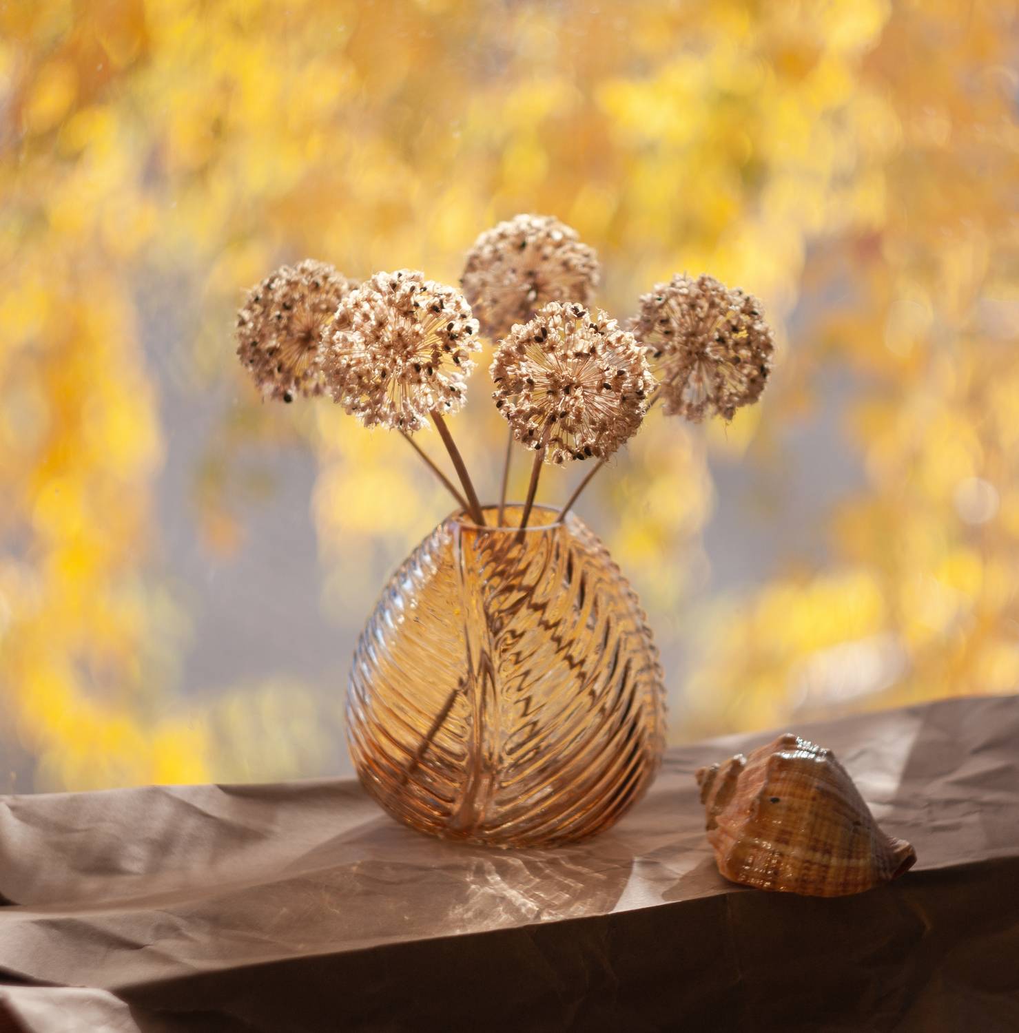 , Павлюк Елена