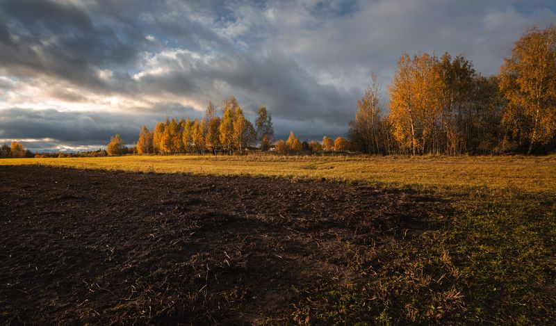 Торбеево На закате осени... фото превью