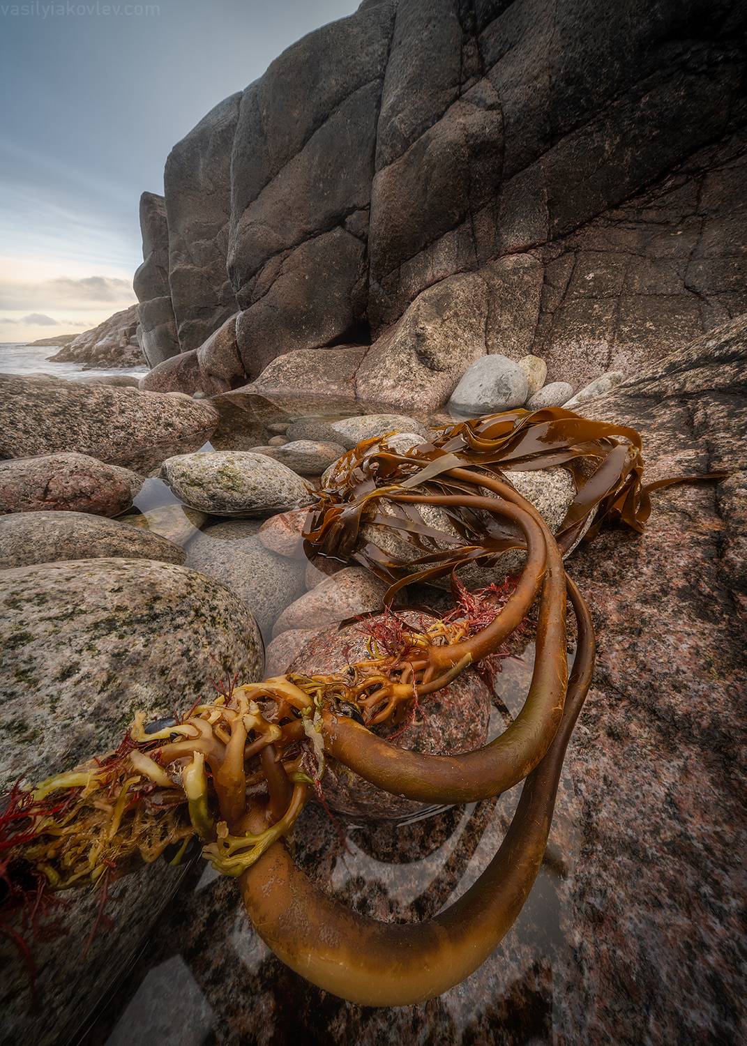 кольский, фототур, яковлевфототур, кандалакша, волосяная, териберка, мурманск, северноесияние, сияние, Василий Яковлев