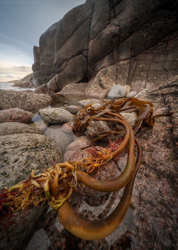 кольский, фототур, яковлевфототур, кандалакша, волосяная, териберка, мурманск, северноесияние, сияние На берегу Баренцева моря фото превью