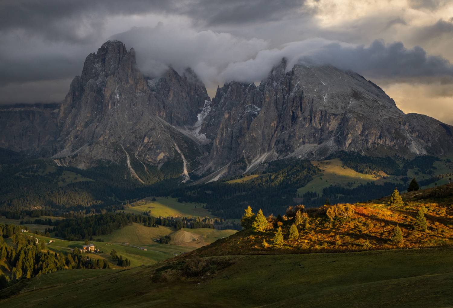 , Алекс Римский