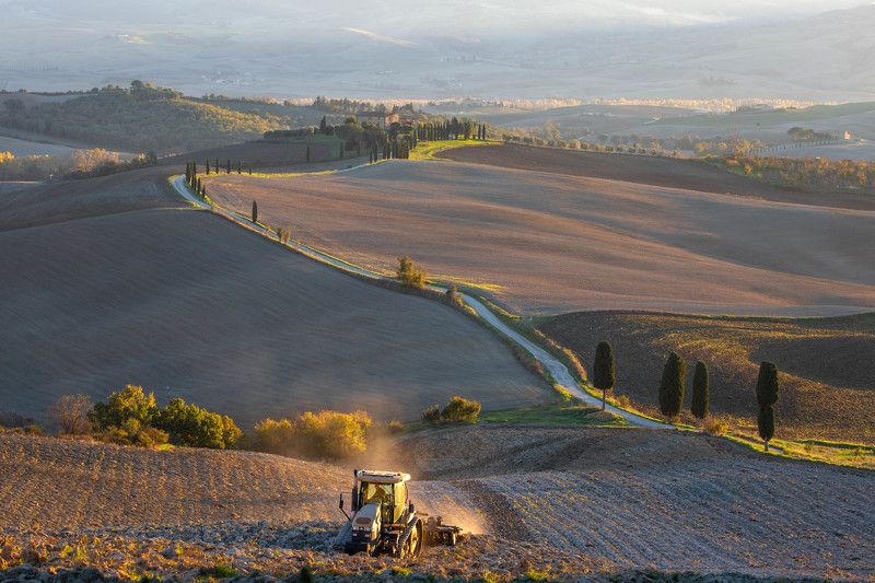 Осенняя страда фото превью