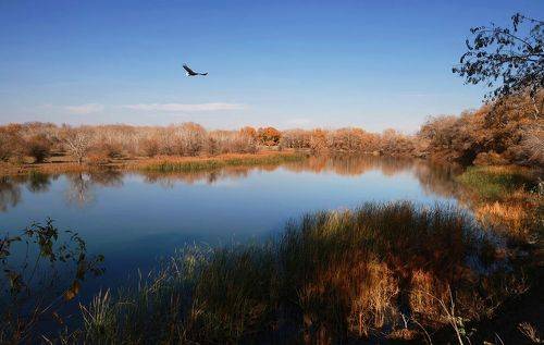 Залив реки..