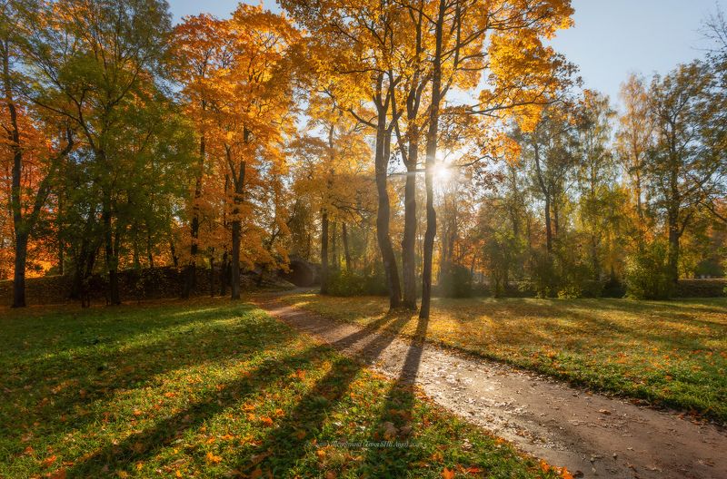 питер, пушкин, царское село, царское,  landscape, tsarskoye selo, autumn,  городской пейзаж, санкт-петербург, рассвет, александровский парк Осенний свет фото превью