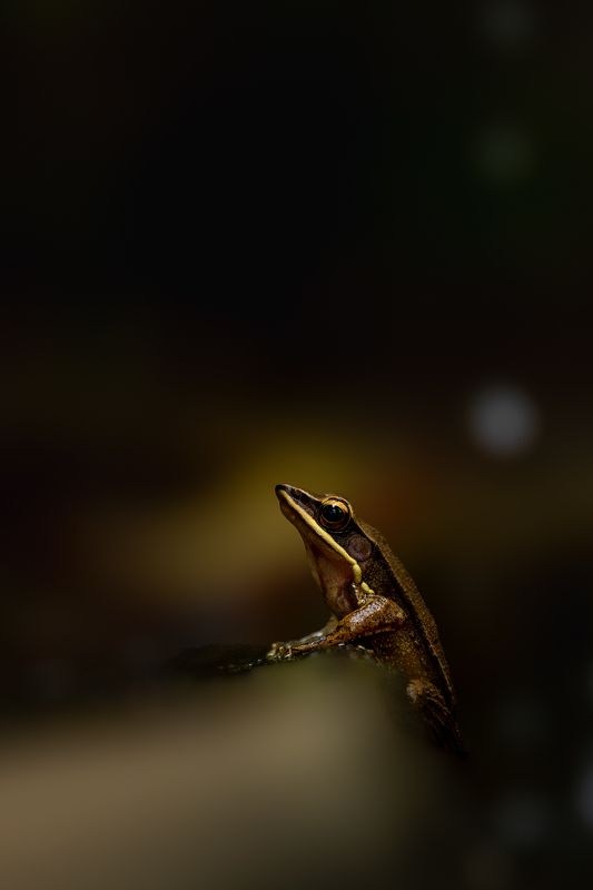 Holding On фото превью