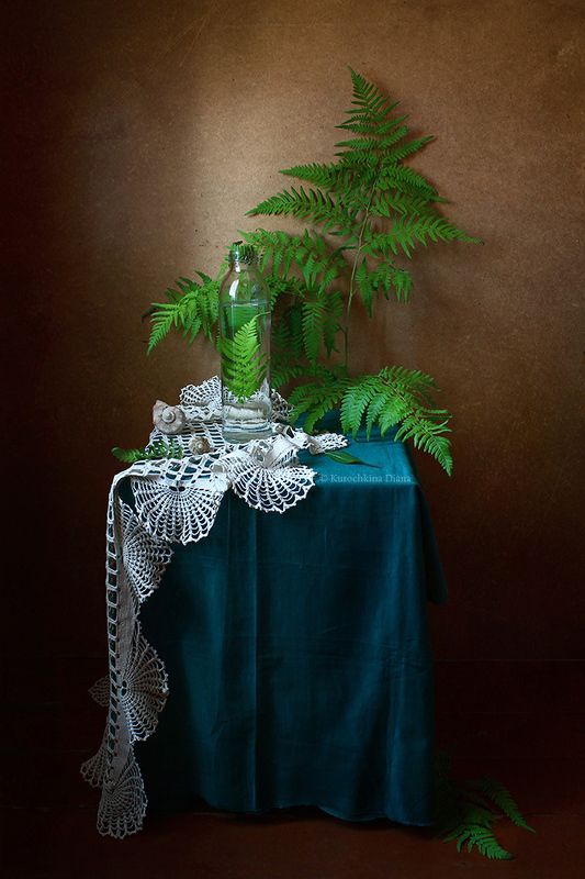 натюрморт, папоротник натюрморт с папоротником фото превью