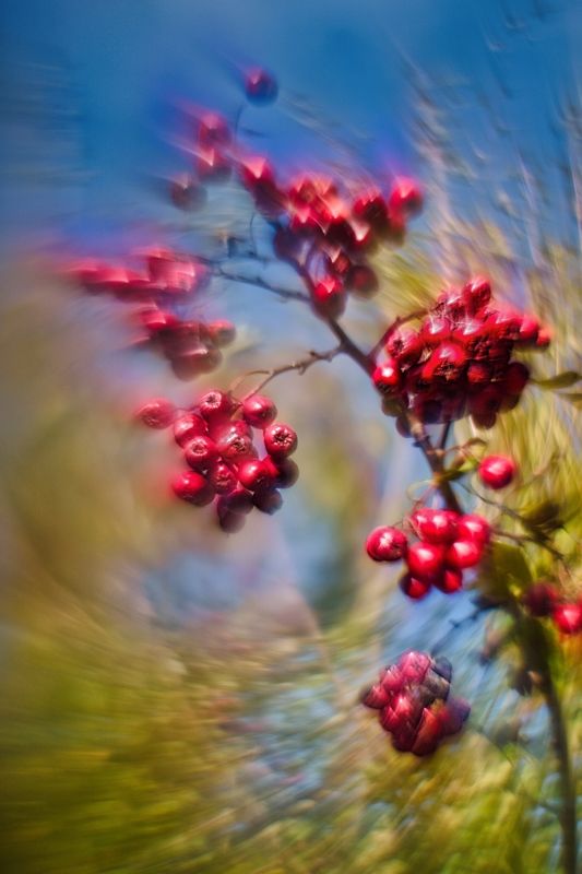 *** фото превью