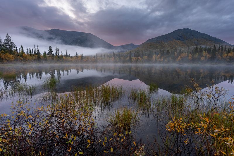 Landscape  фото превью