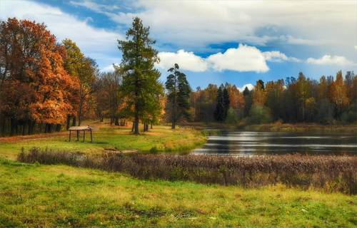 Дыхание осени