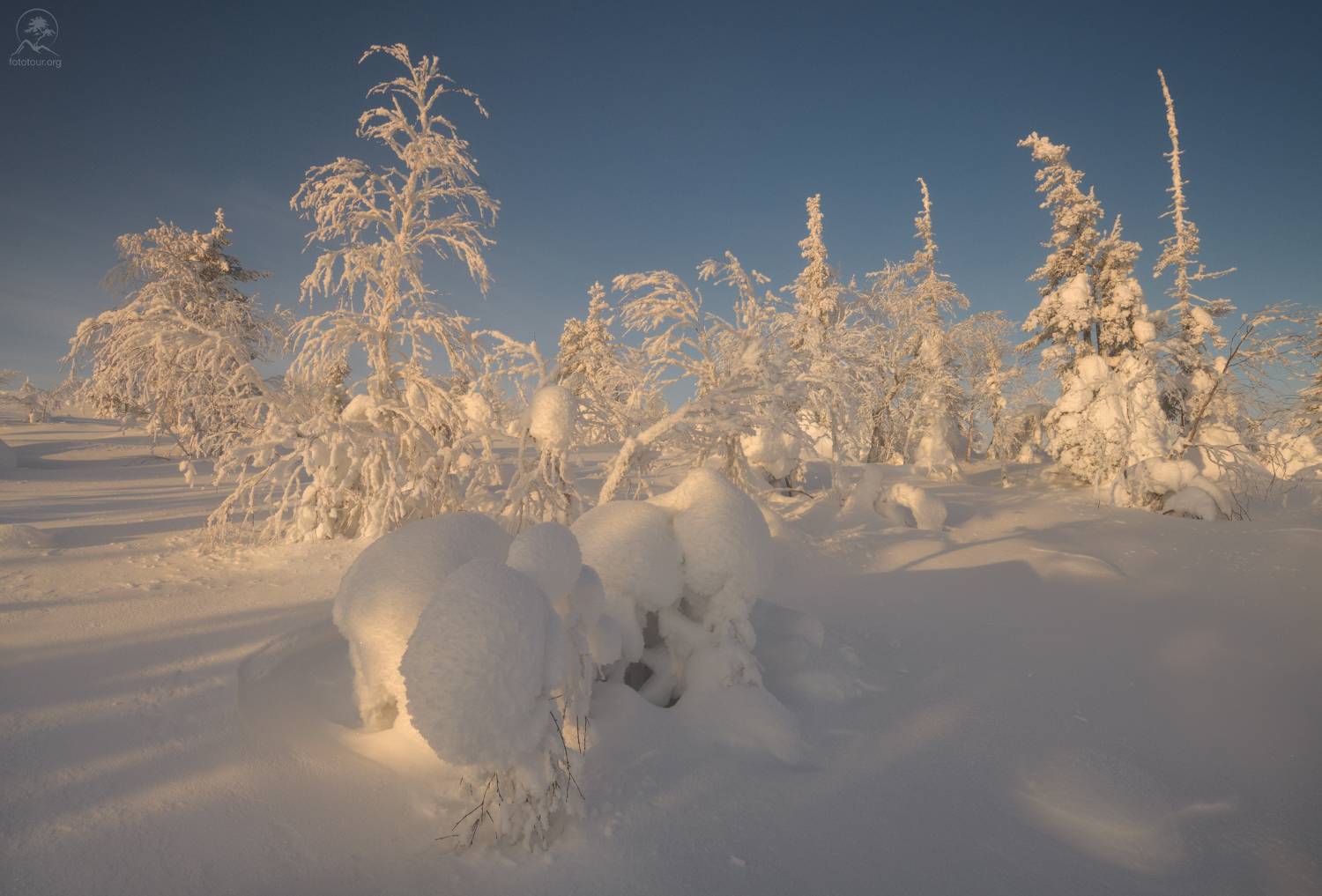 кольский, зима, фототур на кольский, мурманская область, хибины, зимний кольский, заполярье, Гордиенко Анатолий