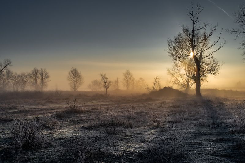 Утро фото превью