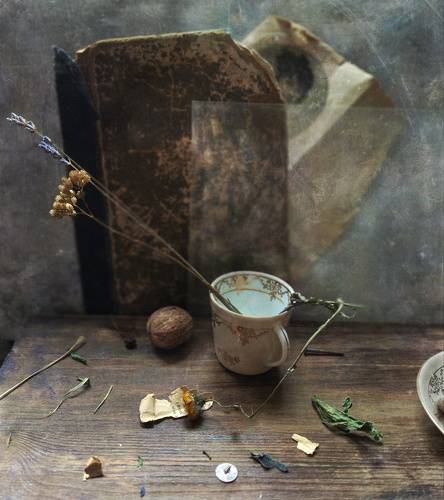 Чашка, орех и другие