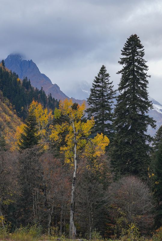 осень, горы, домбай Домбайский вальс фото превью