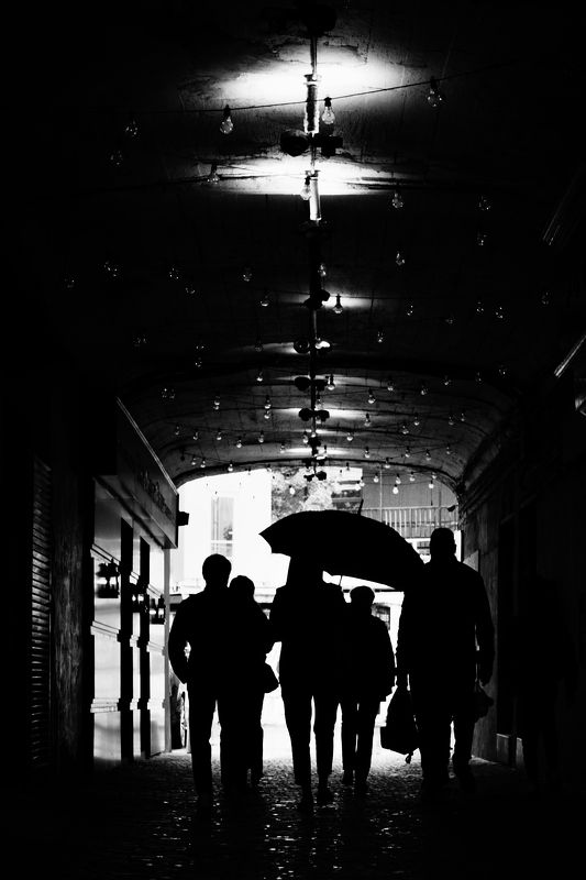 Дождик фото превью