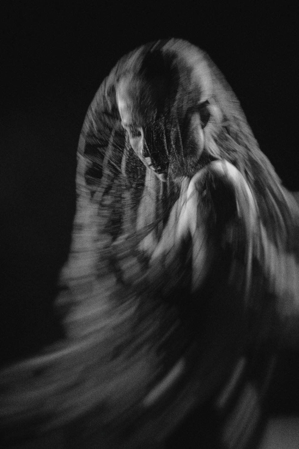 , Миронов Вадим