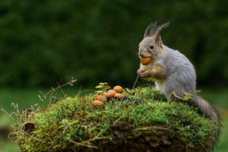 это все мне?  фото превью