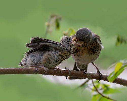 Заботы.. (3 ФОТО)