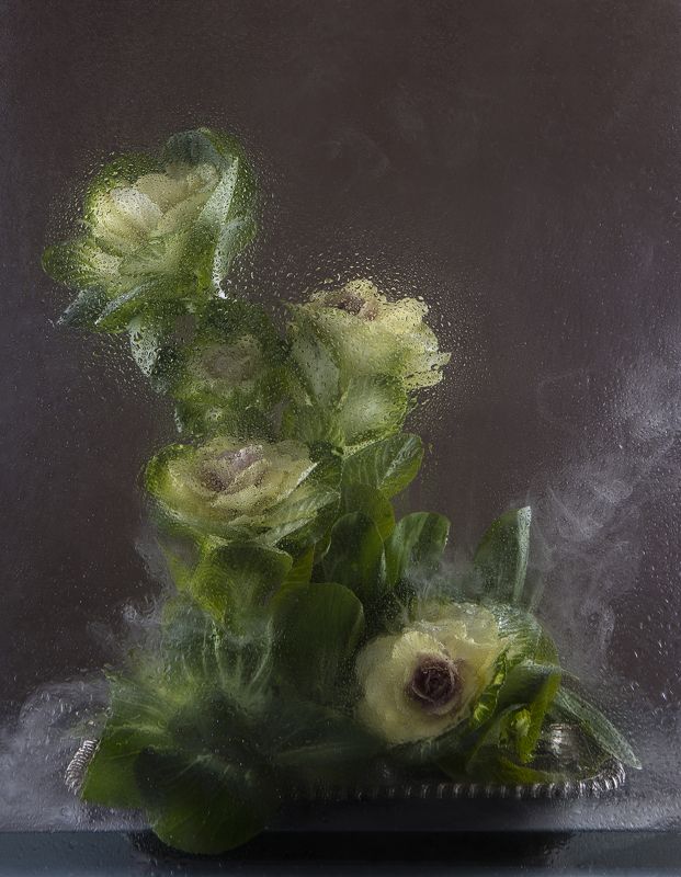 Капуста на блюде фото превью