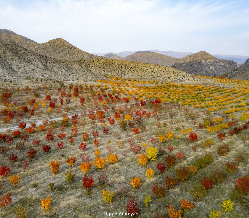 Armenia фото превью