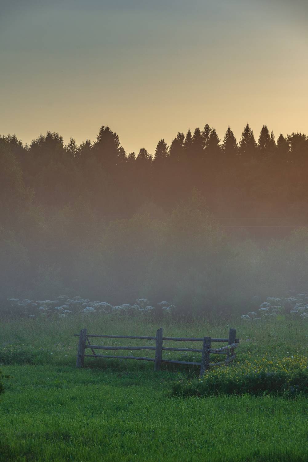 , Шуплецов Алексей