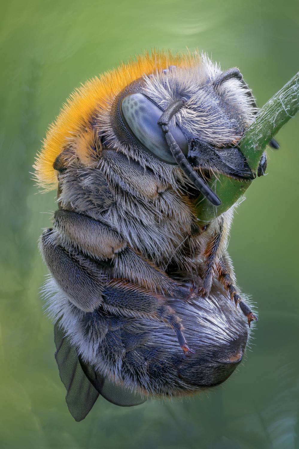 , Кузнецов Дмитрий