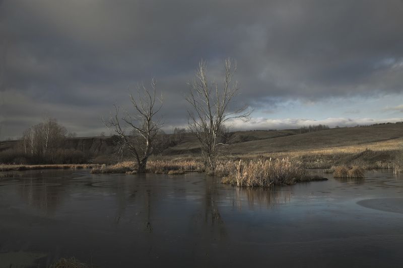 осень Осень фото превью