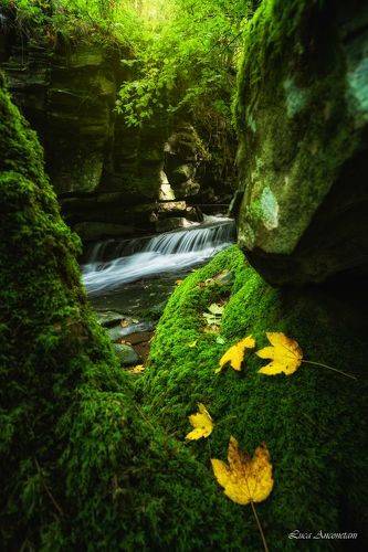 Autumn in Tuscany