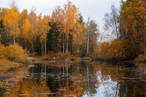 Vuoksi