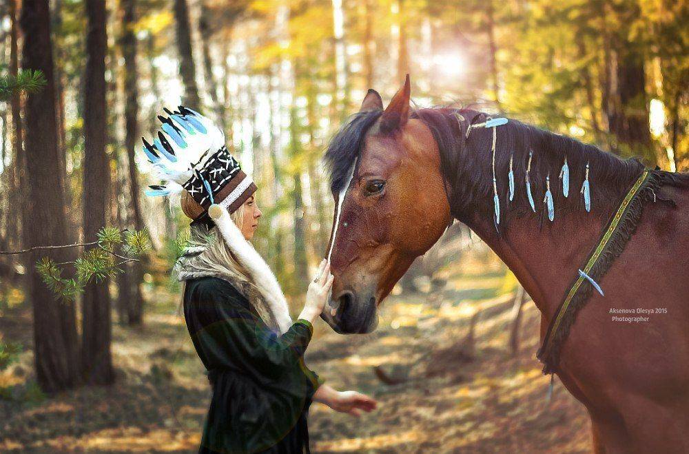 Индейцы, Лошади, Спирит, Аксёнова Олеся