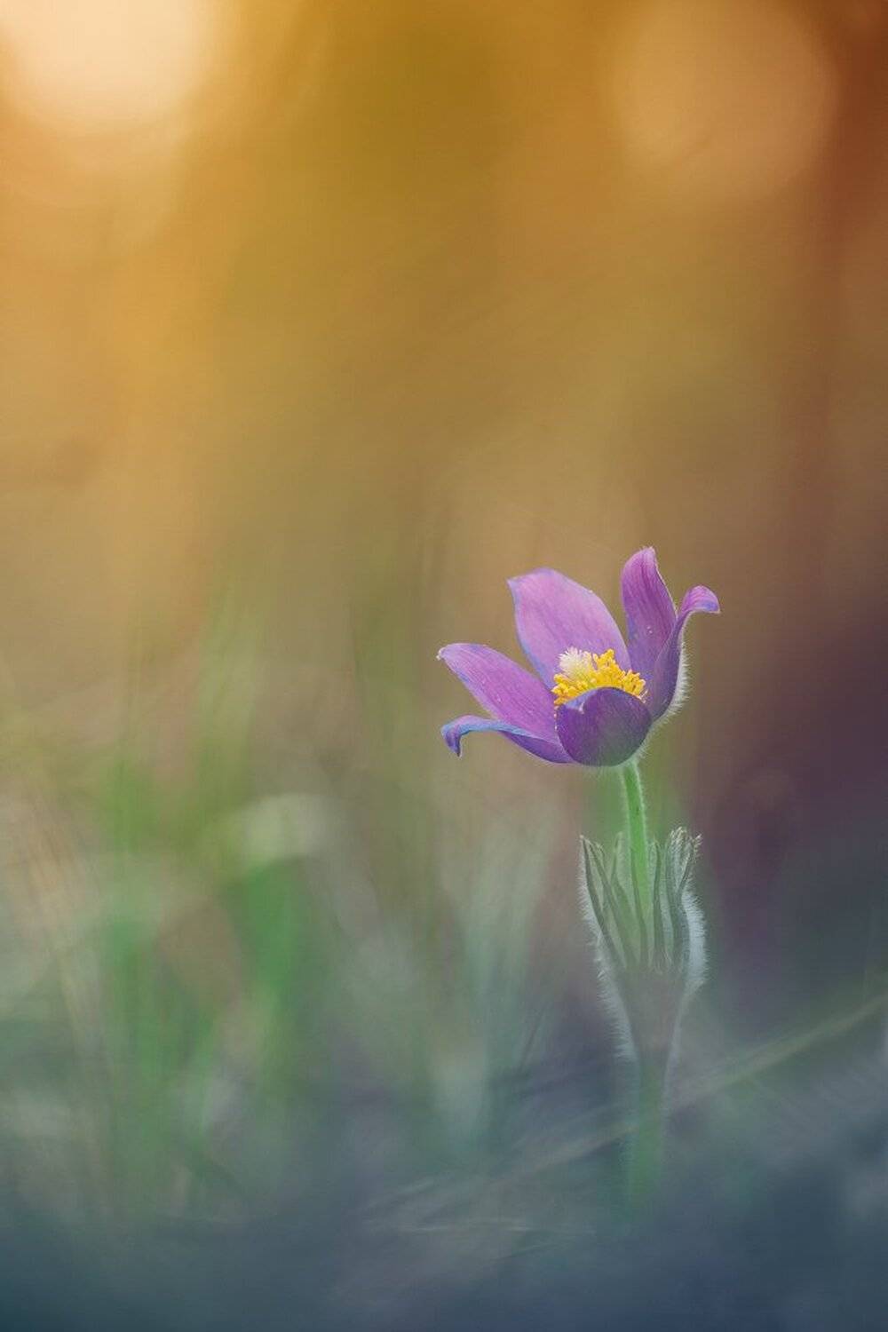 , Кузнецов Дмитрий