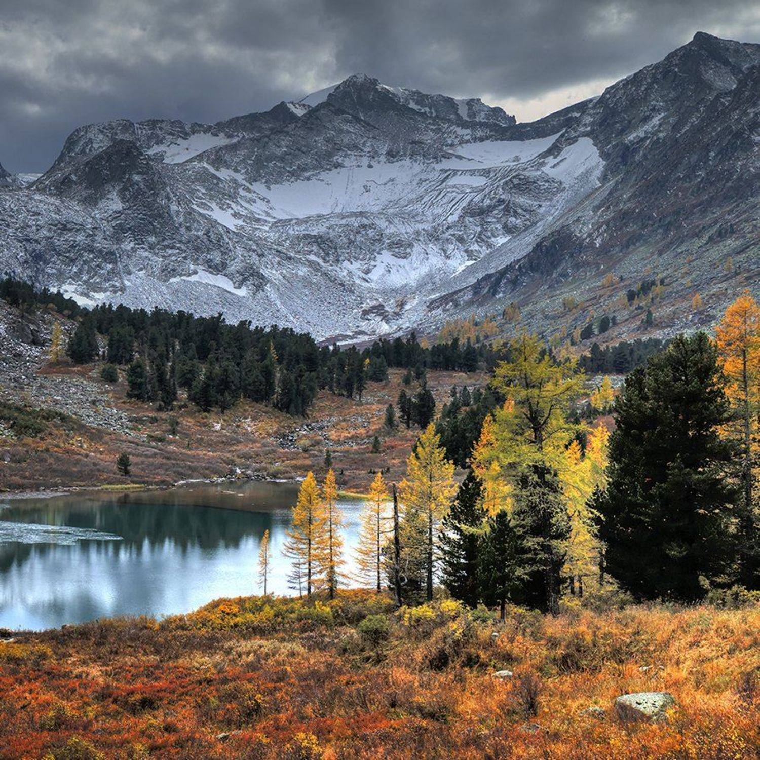 , Алексей Родак