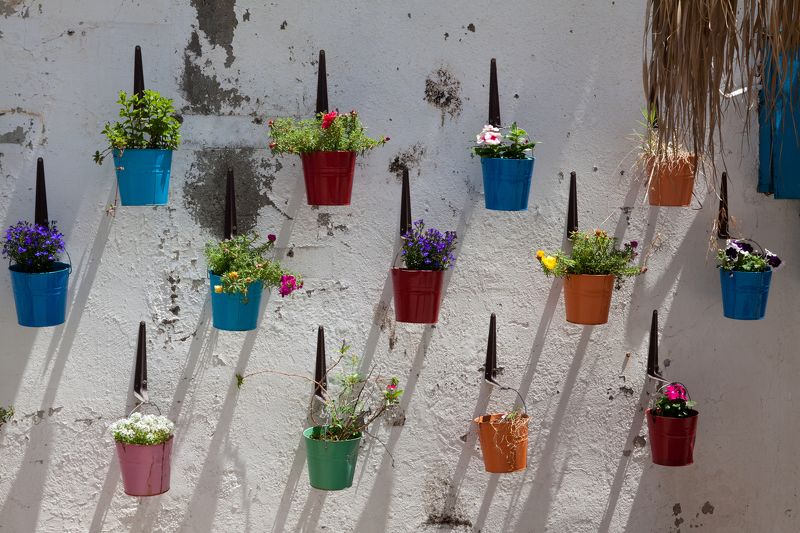 Краски фото превью