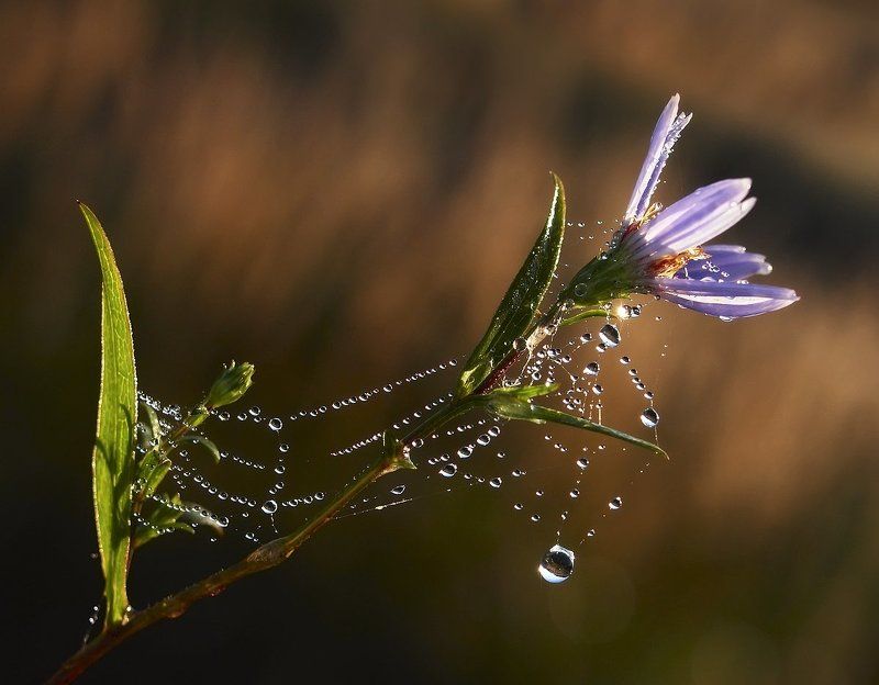 Скоро лето!... фото превью