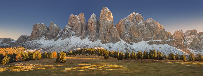 Зубастый старина Geisler фото превью