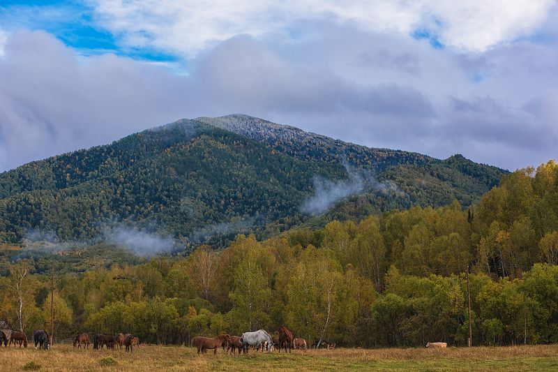 алтай  фото превью