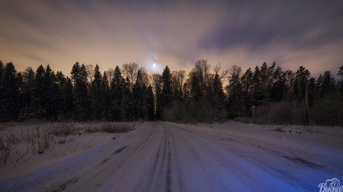 Луна,дорога,лес.