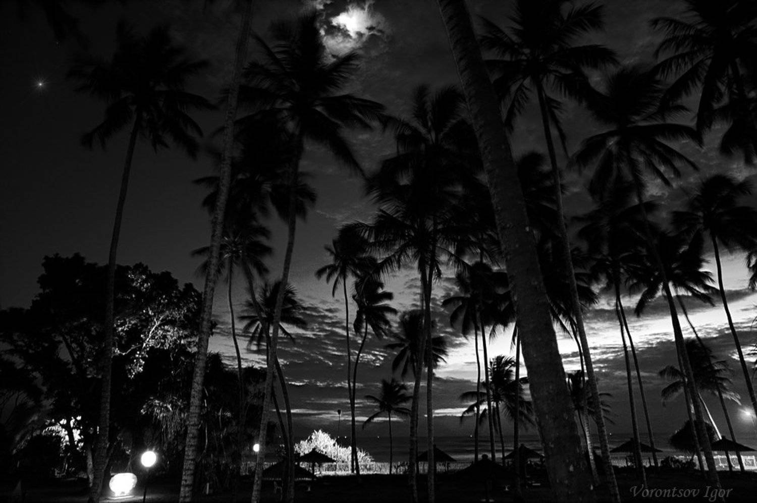 Шри - Ланка, Воронцов Игорь