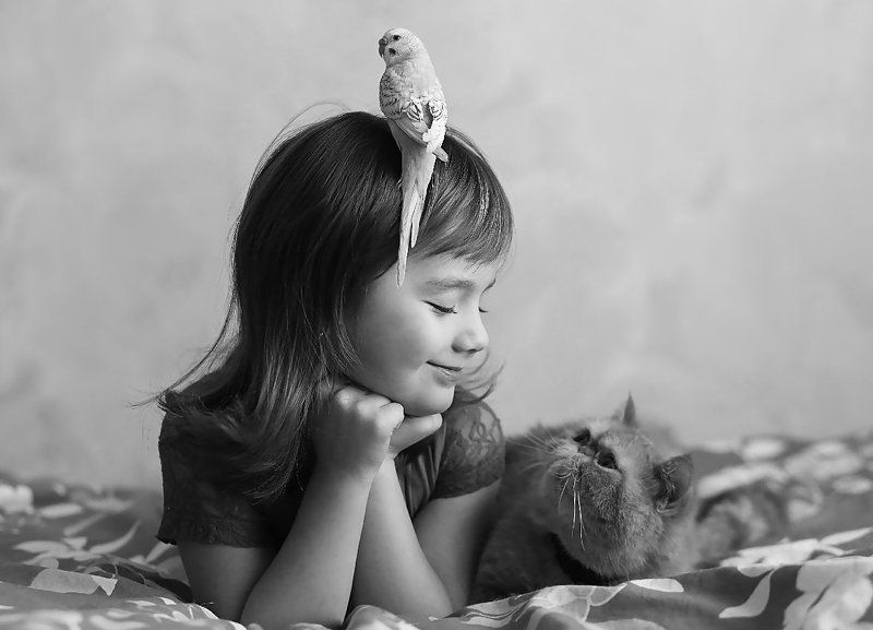 фото превью