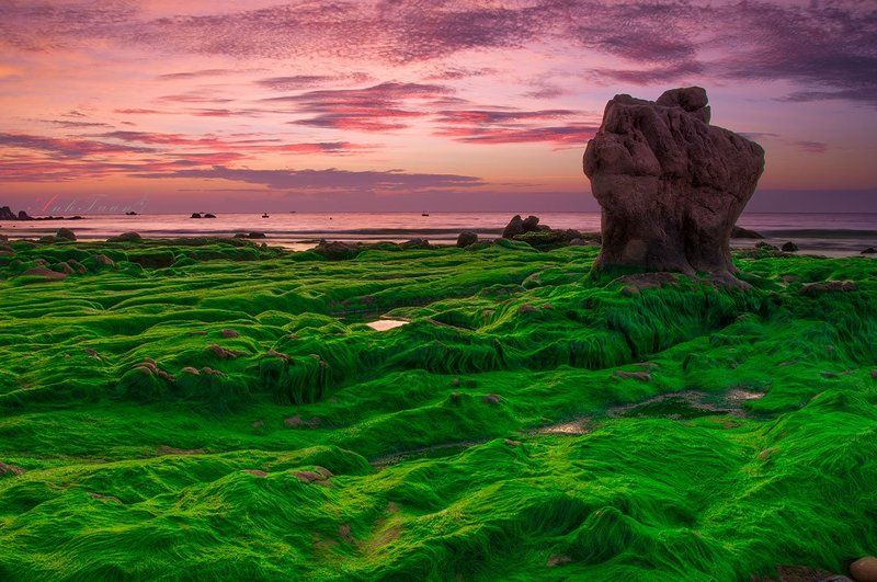 Aurora фото превью