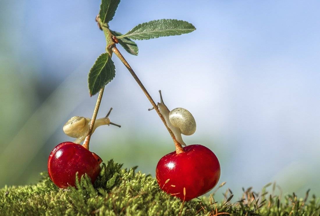 , Анатольевич