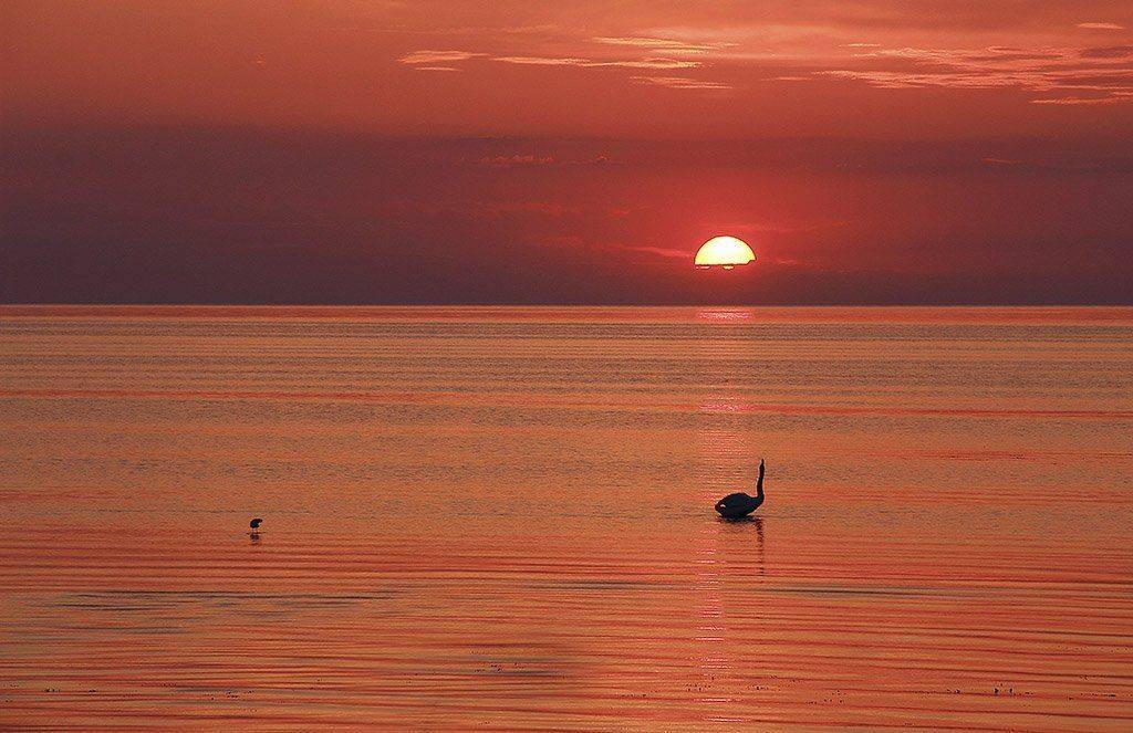 вечер; лето; закат; красивый; холодный; солнце; море; Лебедь; Чайка; разбухать; спокойствие;, Виктор