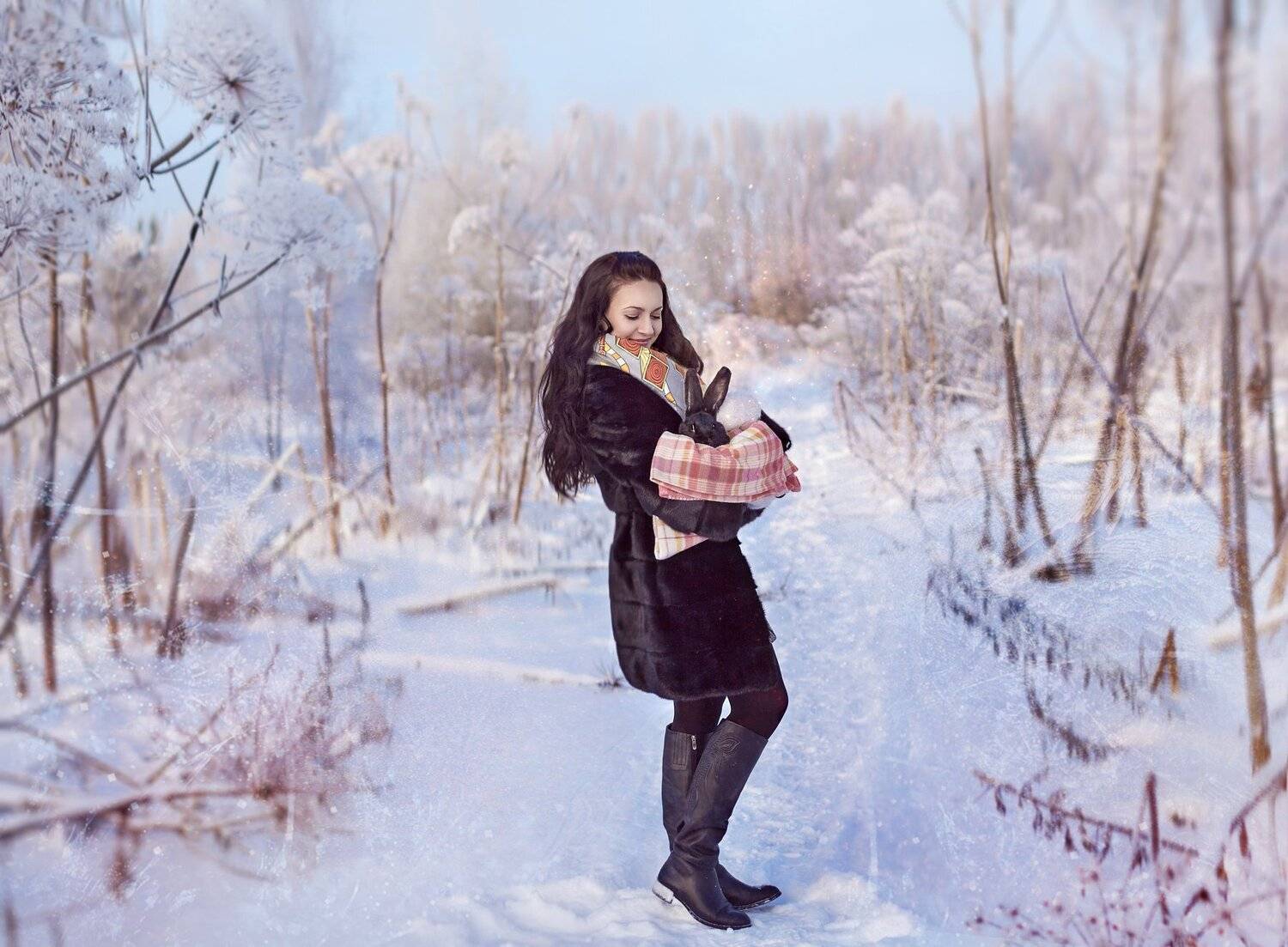 Рождественский кролик , Светлана Никотина