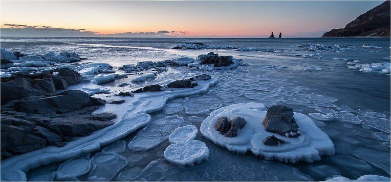 Из жизни теплых морей... фото превью