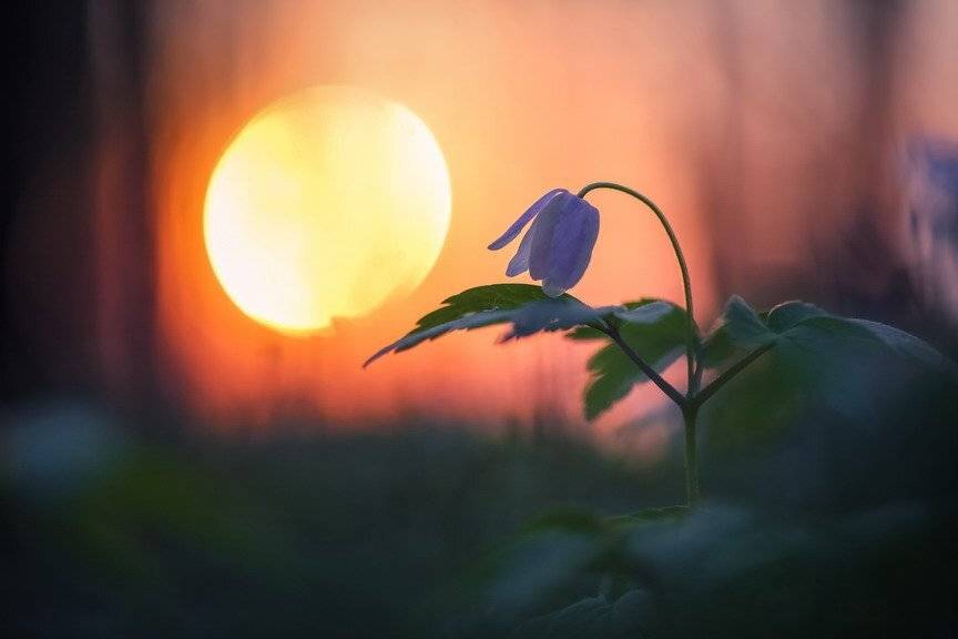 , Вячеслав Мищенко