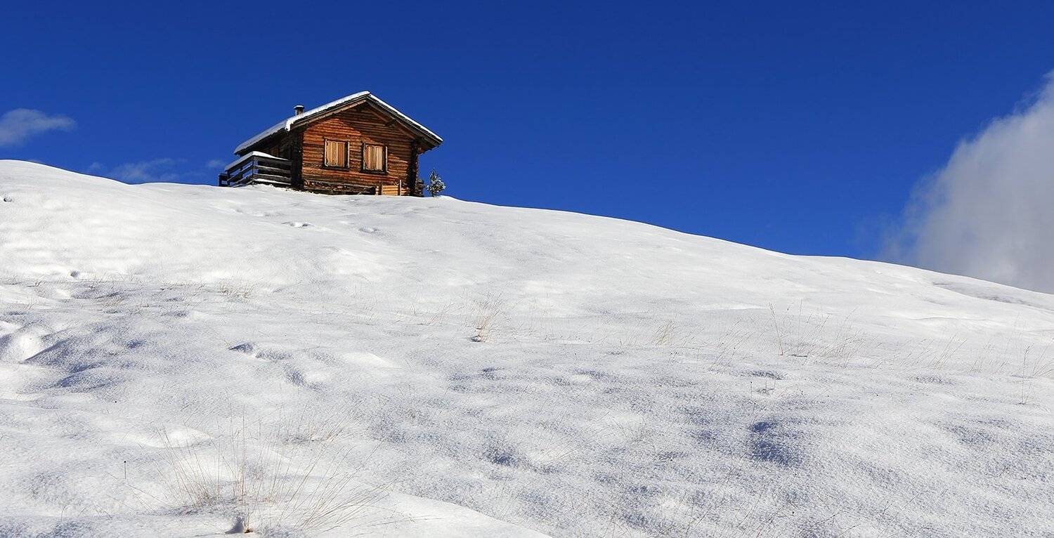 , Игорь Дубровский